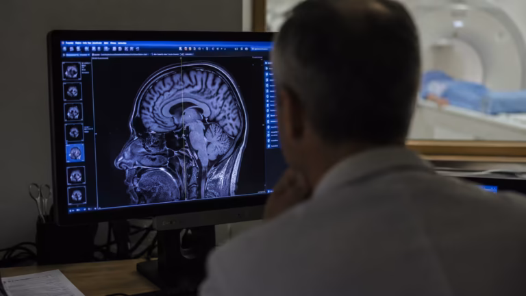 human brain